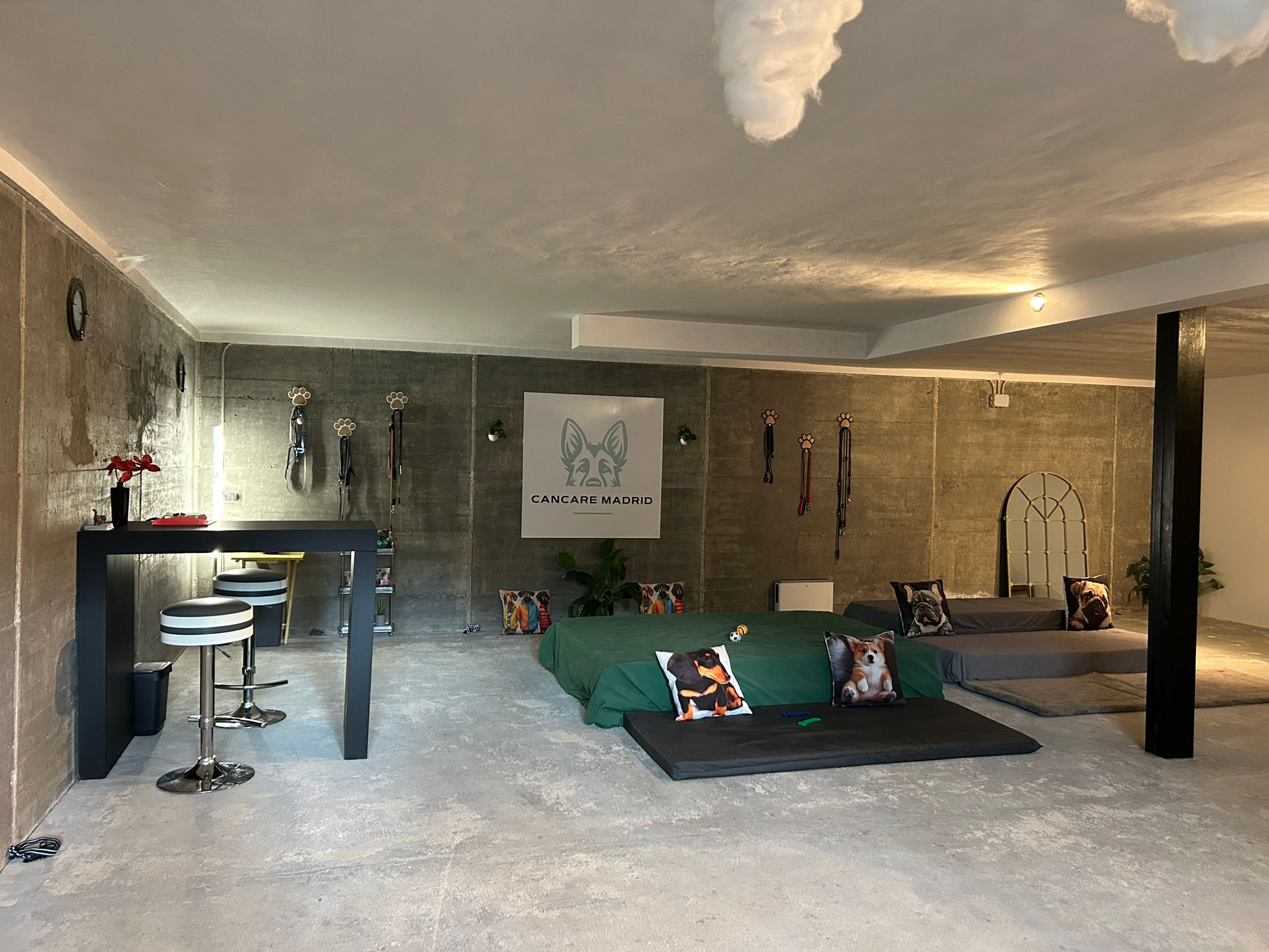 Zona exterior para perros